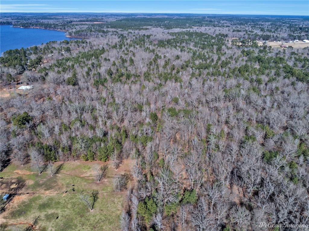 0 East Linton Road Benton, LA 71006 - Photo 14 of 29 a view of a dry yard with trees