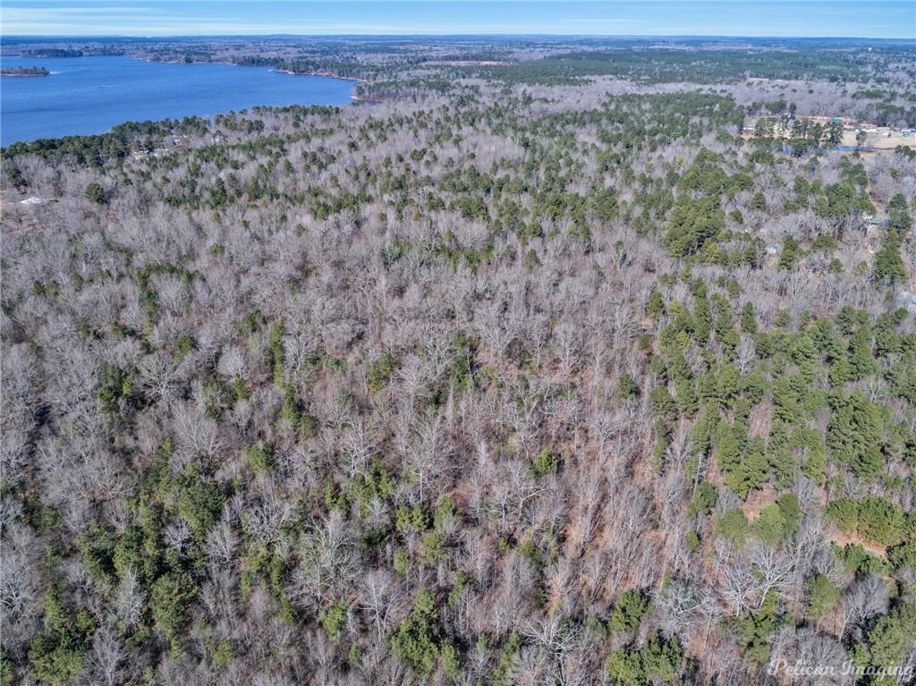 0 East Linton Road Benton, LA 71006 - Photo 16 of 29 a view of a dry yard with trees