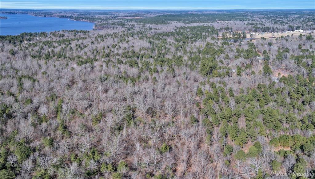 0 East Linton Road Benton, LA 71006 - Photo 17 of 29 a view of a dry yard with trees