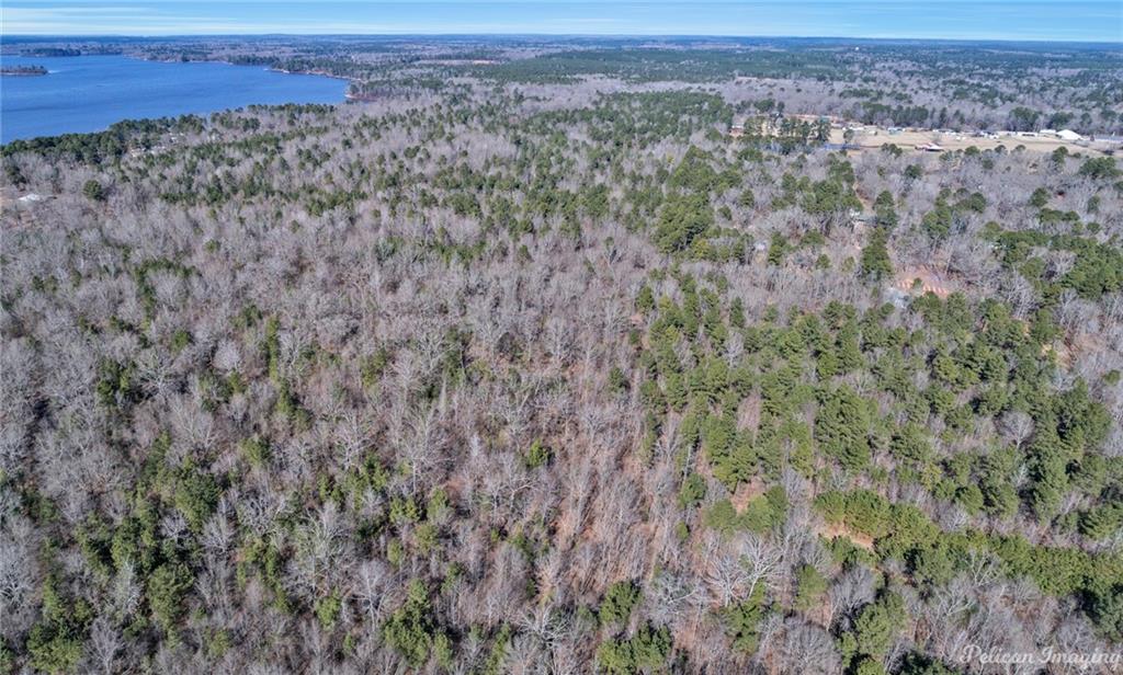 0 East Linton Road Benton, LA 71006 - Photo 18 of 29 a view of a dry yard with trees
