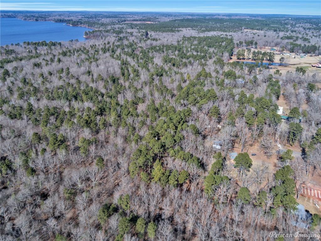 0 East Linton Road Benton, LA 71006 - Photo 19 of 29 a view of a field with trees and mountain view