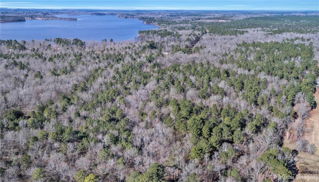 0 East Linton Road Benton, LA 71006 - Photo 21 of 29 an aerial view of mountain with trees around