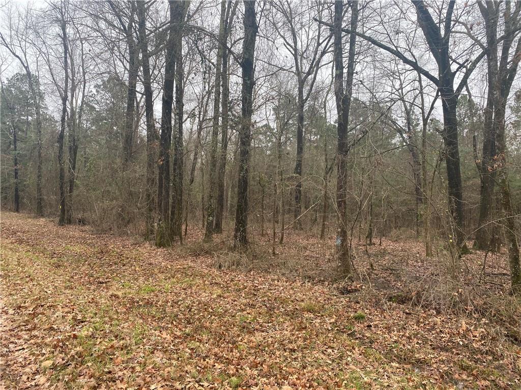 0 East Linton Road Benton, LA 71006 - Photo 25 of 29 a view of some trees in the forest