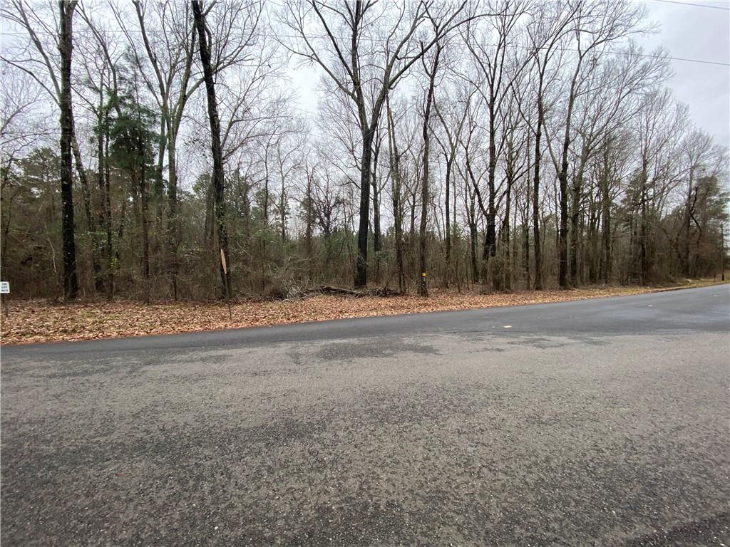 0 East Linton Road Benton, LA 71006 - Photo 29 of 29 a backyard of a house with large trees
