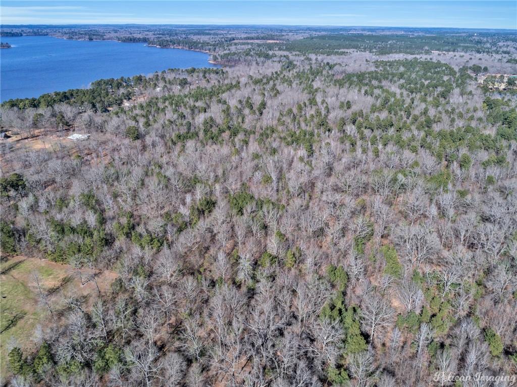 0 East Linton Road Benton, LA 71006 - Photo 6 of 29 a view of a dry field with trees in the background