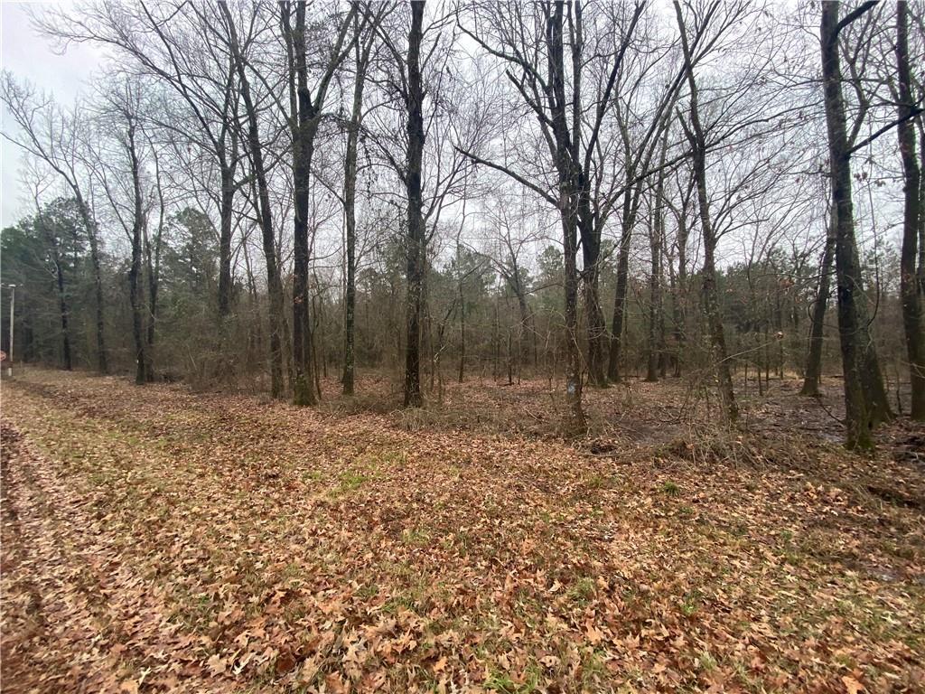 0 East Linton Road Benton, LA 71006 - Photo 7 of 29 a view of outdoor space with trees