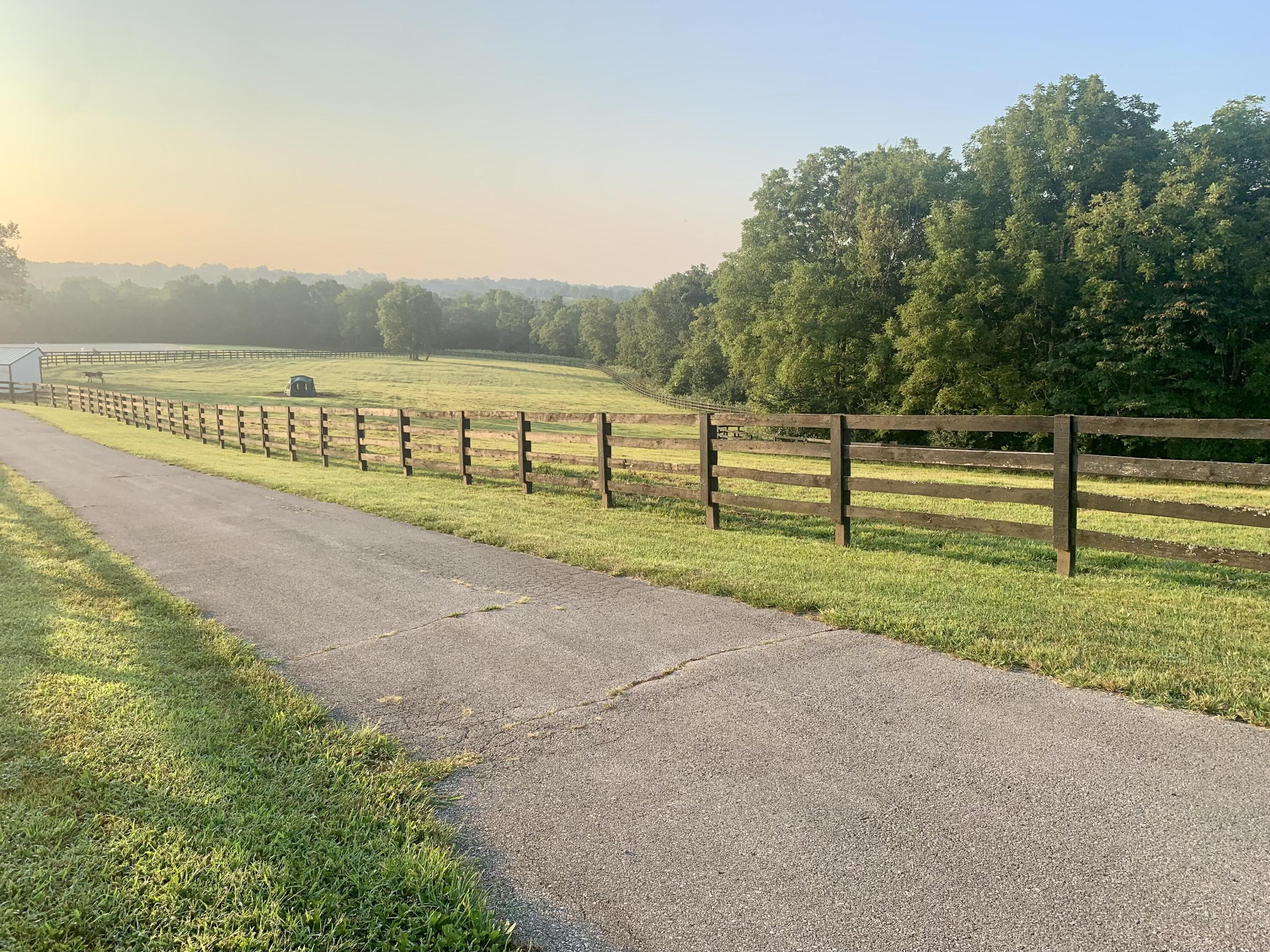 4129 Delaney Ferry Road Versailles, KY 40383 - Photo 11 of 77 IMG-1963