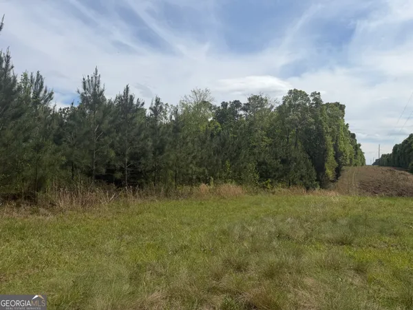 a view of a lake with trees in the background