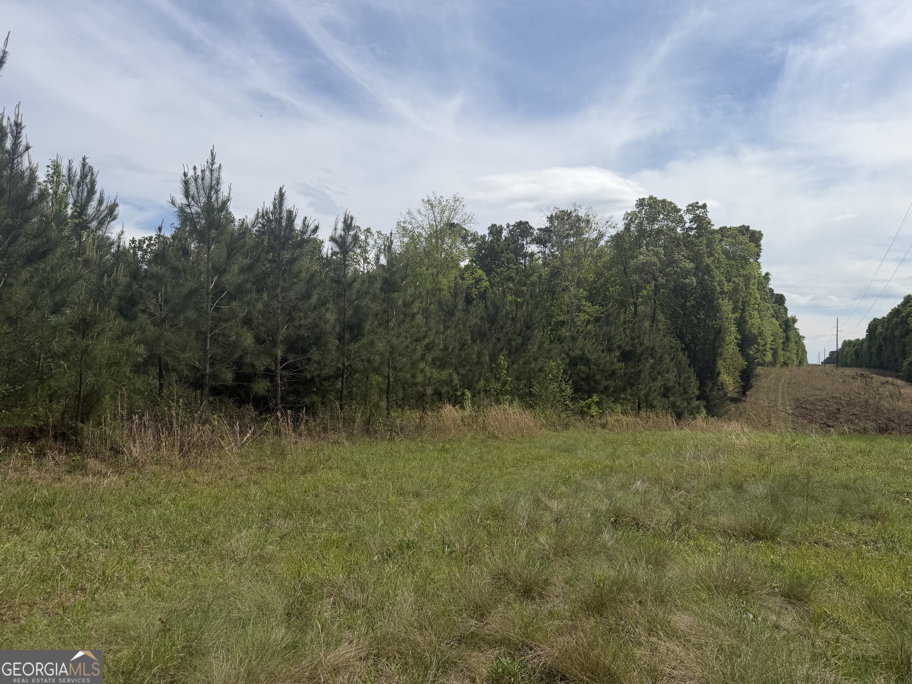4 George Milling Road Cuthbert, GA 39840 - Photo 2 of 14 a view of a lake with trees in the background
