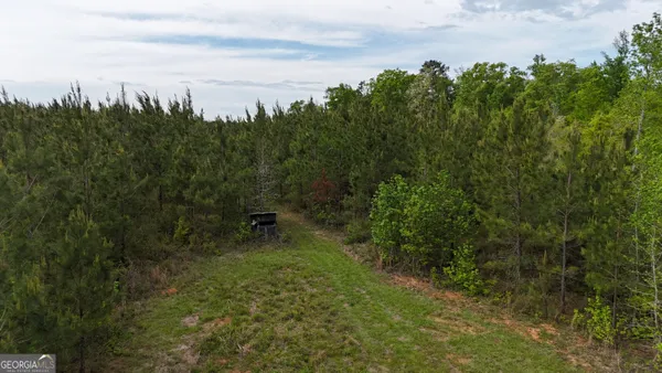 a view of a field with trees in the background