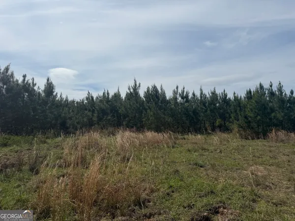 a view of a lake with trees in the background