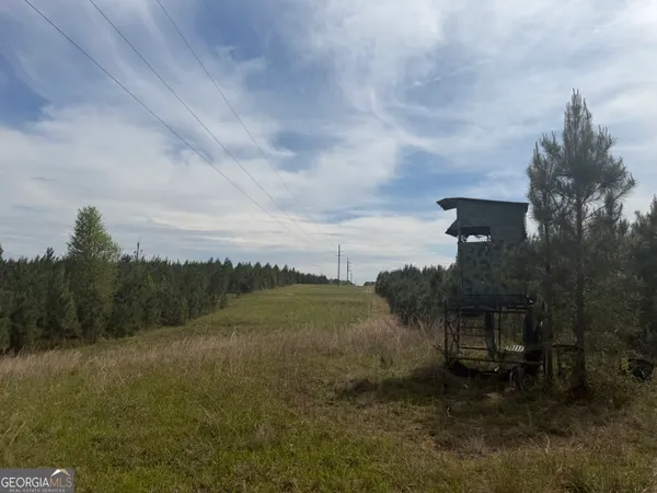a view of a garden with a building in the background