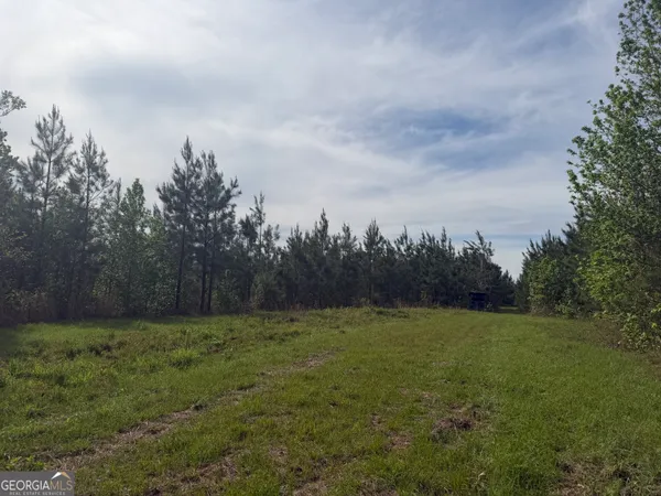 a view of a grassy field