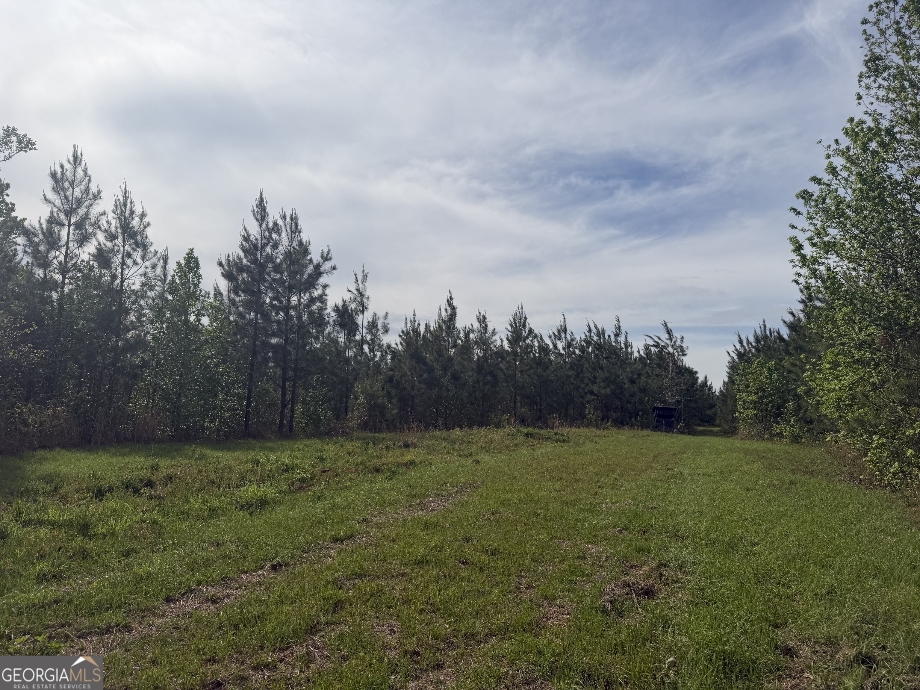 4 George Milling Road Cuthbert, GA 39840 - Photo 10 of 14 a view of a grassy field