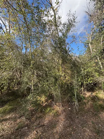 $4,000 | 0 Paloma Street, Bay City, TX 77414