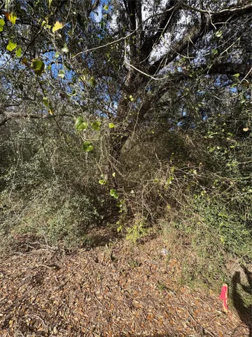 $4,000 | 0 Paloma Street, Bay City, TX 77414