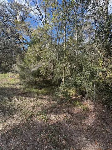 $4,000 | 0 Paloma Street, Bay City, TX 77414