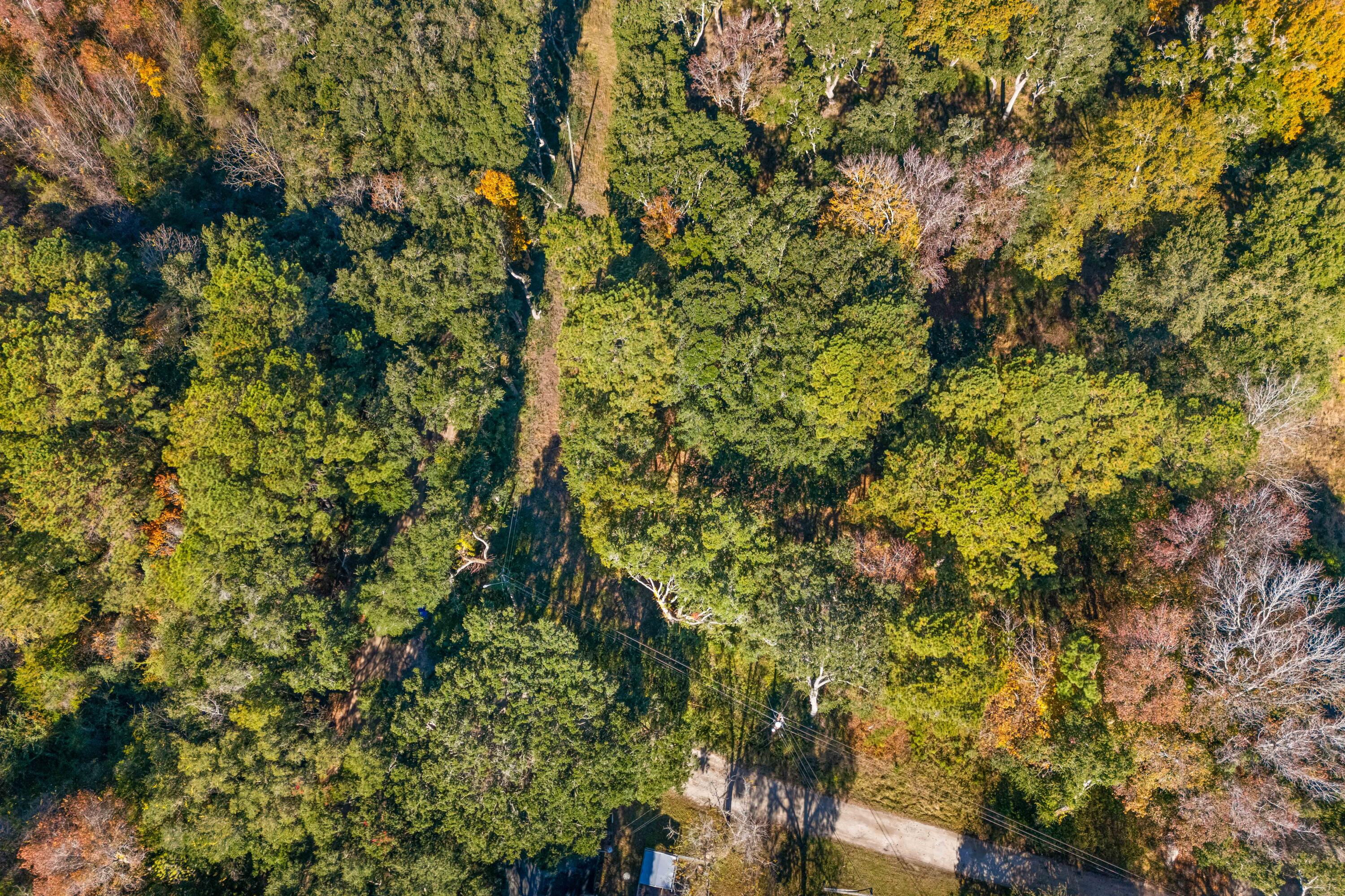 1872 Arsburn Road Charleston, SC 29412 - Photo 3 of 10 Arsburn 3