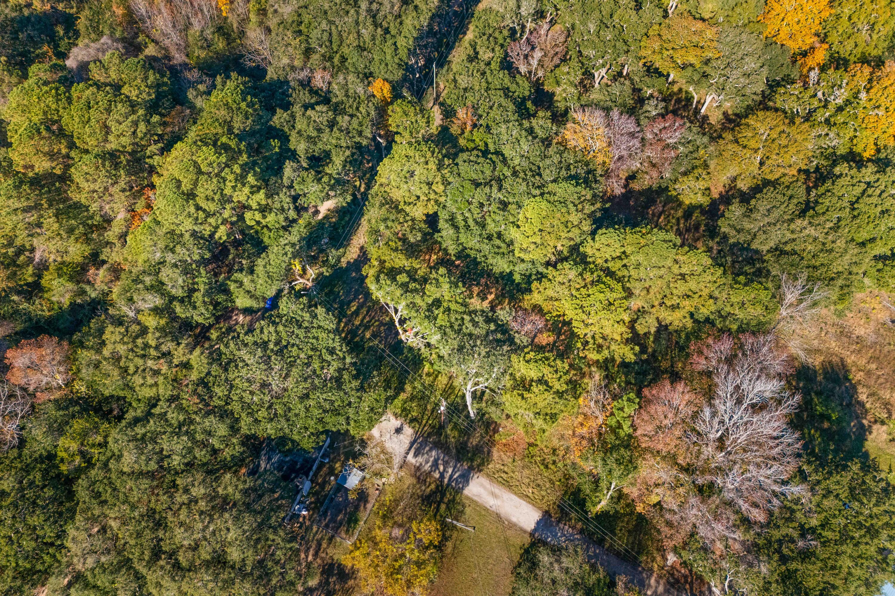 1872 Arsburn Road Charleston, SC 29412 - Photo 9 of 10 Arsburn 9
