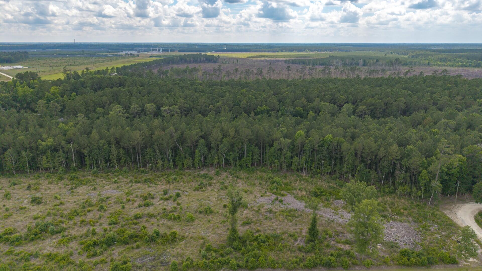 6222 Saints Delight Road, Unit LOT 8A Georgetown, SC 29440 - Photo 14 of 27