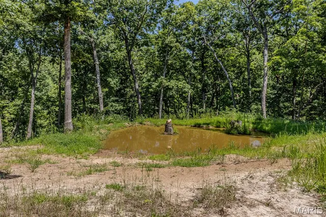 $450,000 | 2962 County Road 496, New Bloomfield, MO 65063