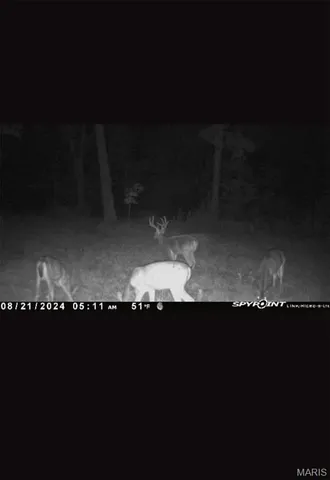 $450,000 | 2962 County Road 496, New Bloomfield, MO 65063