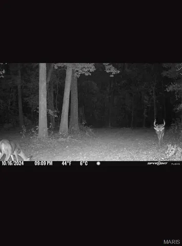 $450,000 | 2962 County Road 496, New Bloomfield, MO 65063