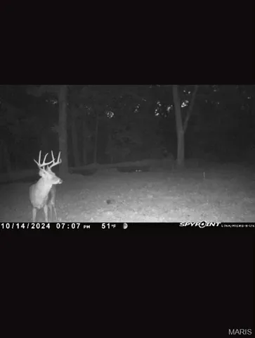 $450,000 | 2962 County Road 496, New Bloomfield, MO 65063