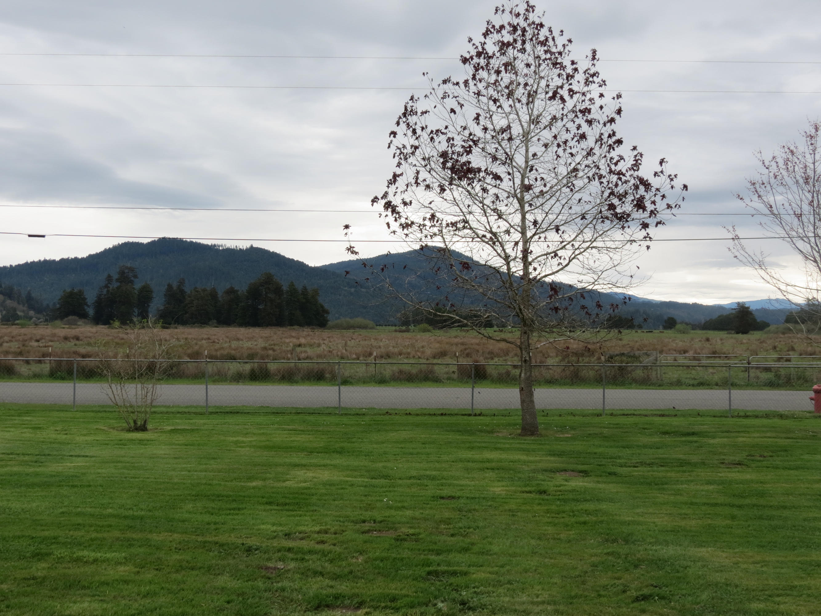 2898 Johnson Road Hydesville, CA 95547 - Photo 19 of 34 Gallery Image 19