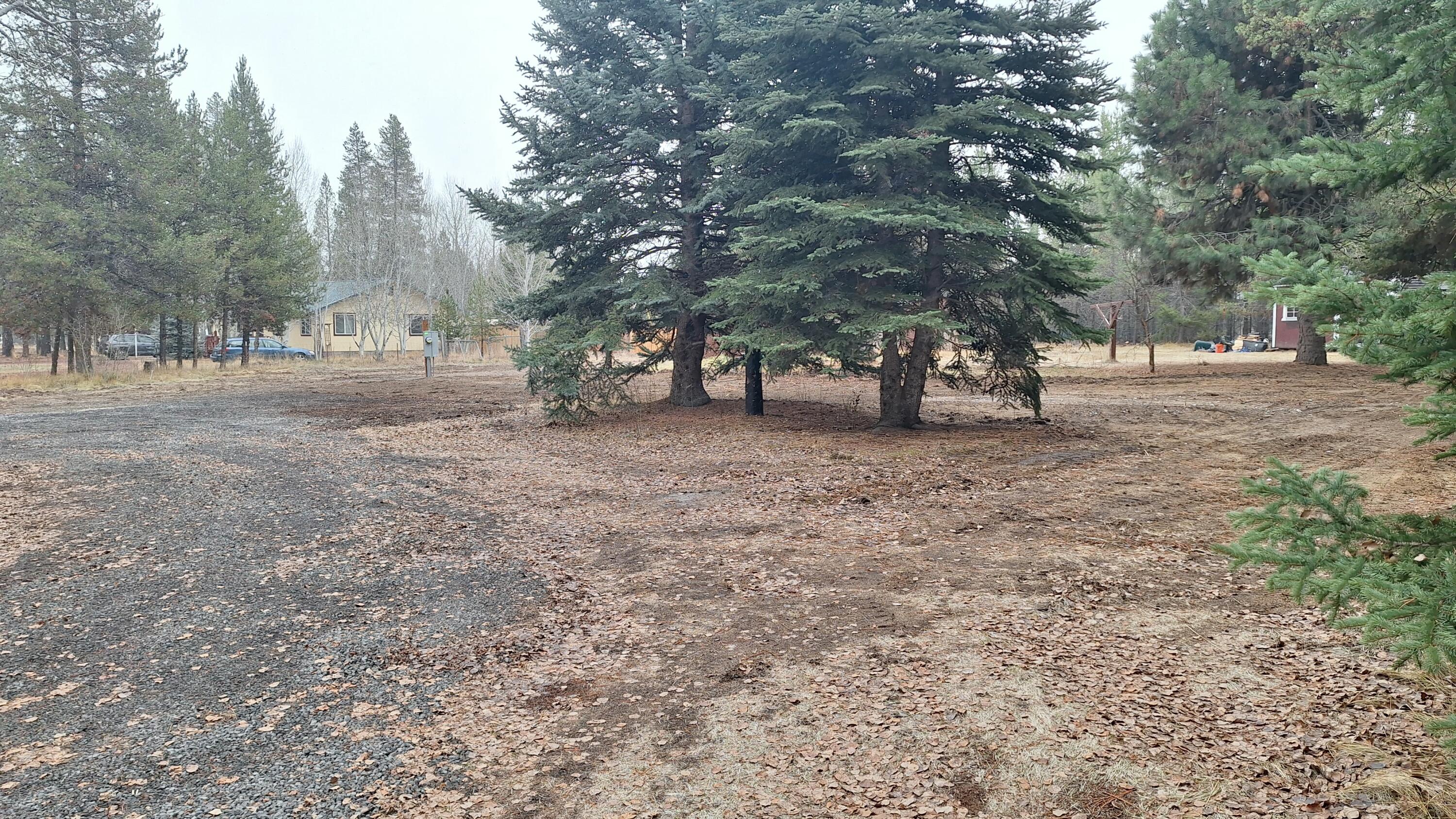 16083 Burgess Road La Pine, OR 97739 - Photo 5 of 19 Two large spruce along with other varieties of trees.