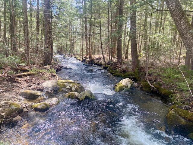 190 Kimball Pond Road New Sharon, ME 04955 - Photo 3 of 46 williams190brookB