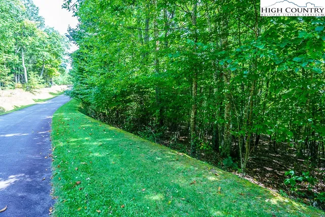 a view of yard with green space