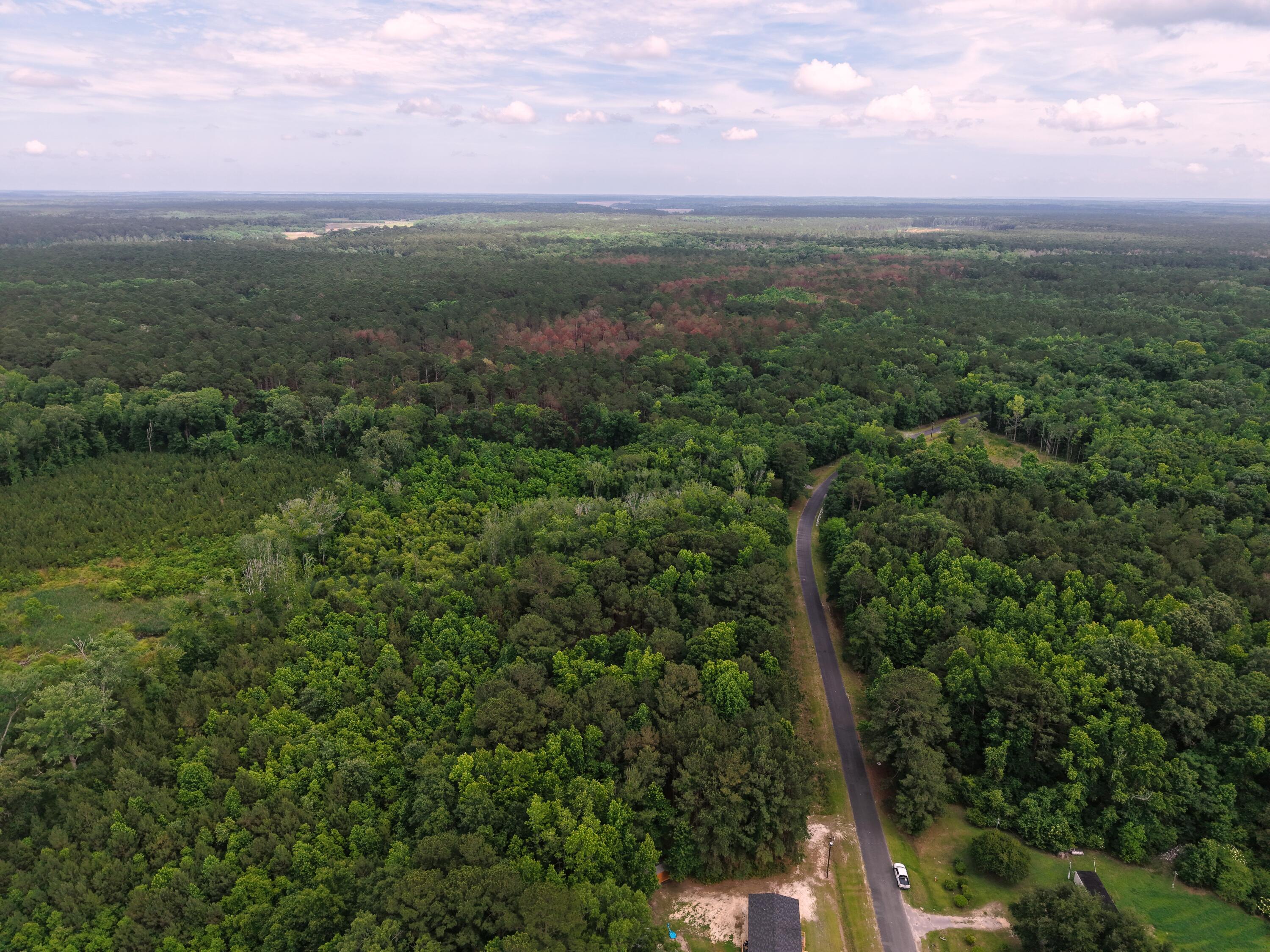 0 Hickory Hill Road Green Pond, SC 29446 - Photo 5 of 20 DJI_20260527153918_0192_D