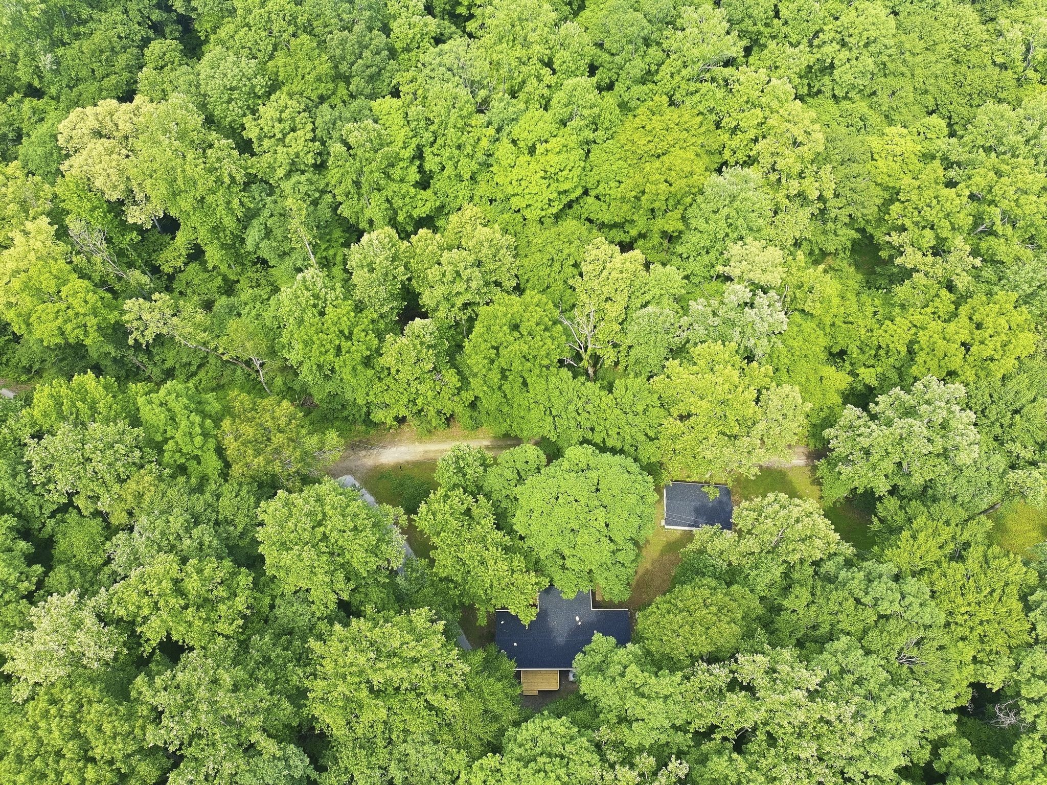 565 Clint Flowers Road McEwen, TN 37101 - Photo 47 of 51