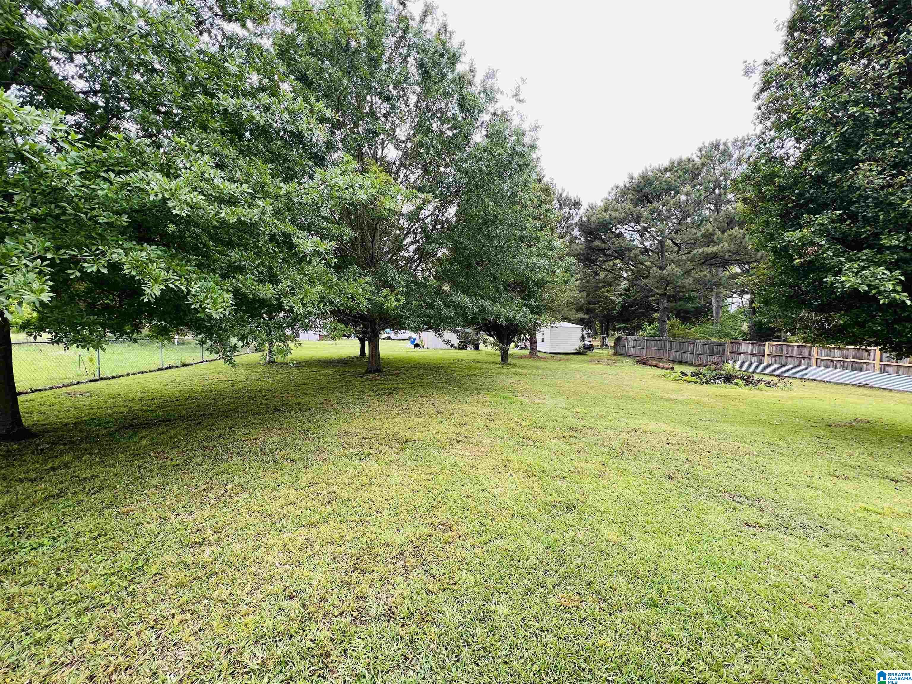 1569 Cobb Road Munford, AL 36268 - Photo 16 of 19