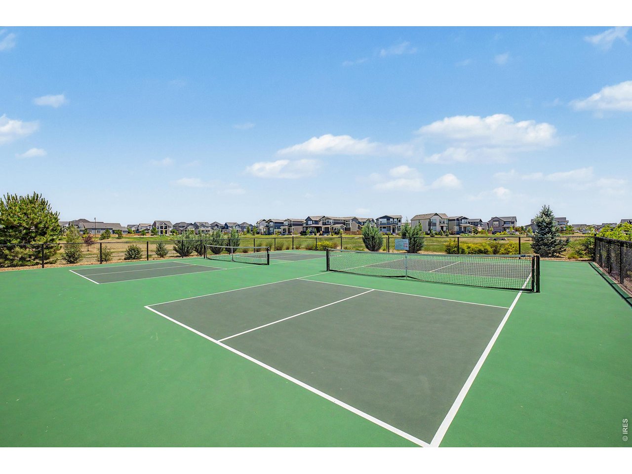 5974 Rendezvous Parkway Timnath, CO 80547 - Photo 44 of 50