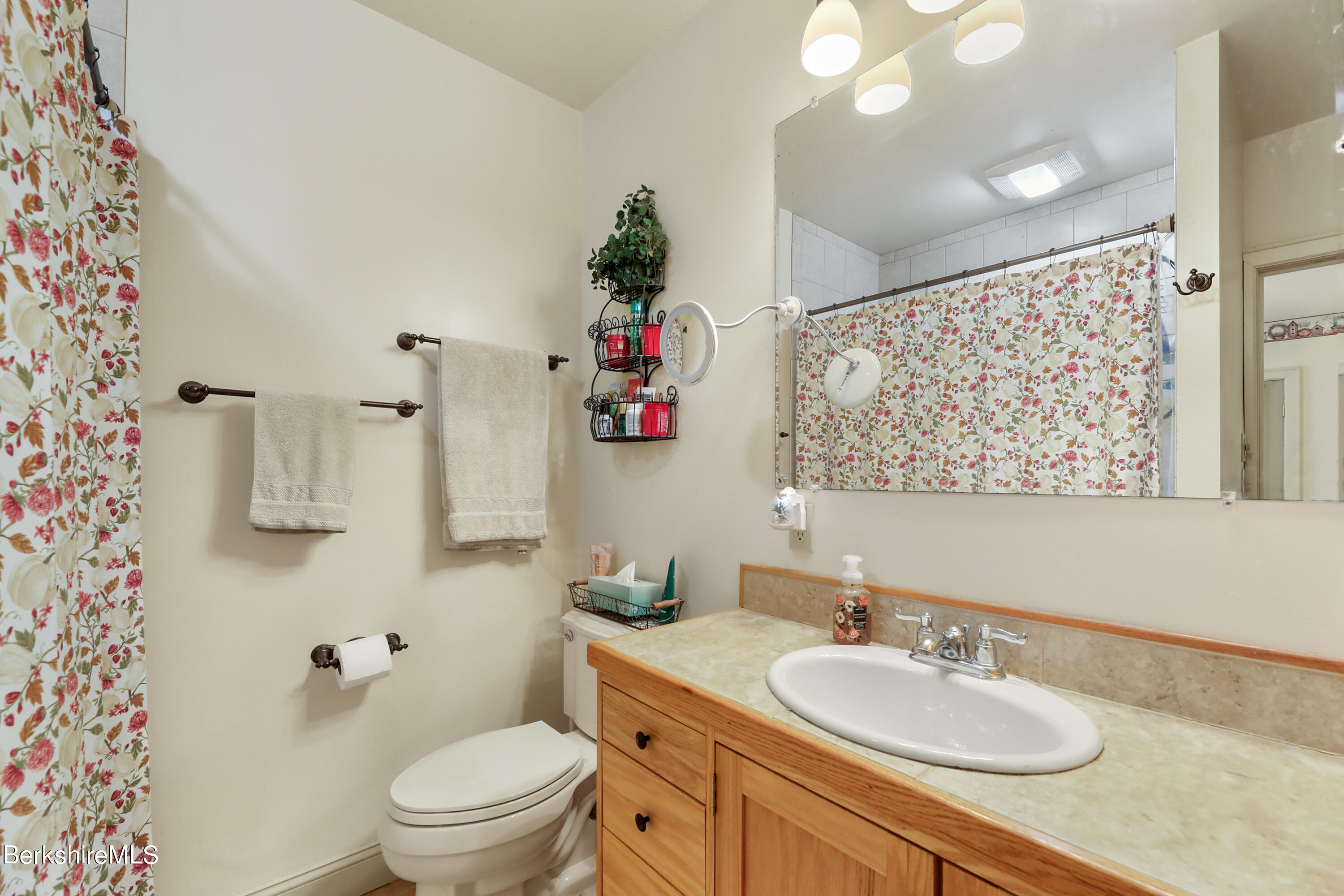 20 Ray Hubbard Road Otis, MA 01029 - Photo 31 of 59 a bathroom with a sink vanity mirror and toilet