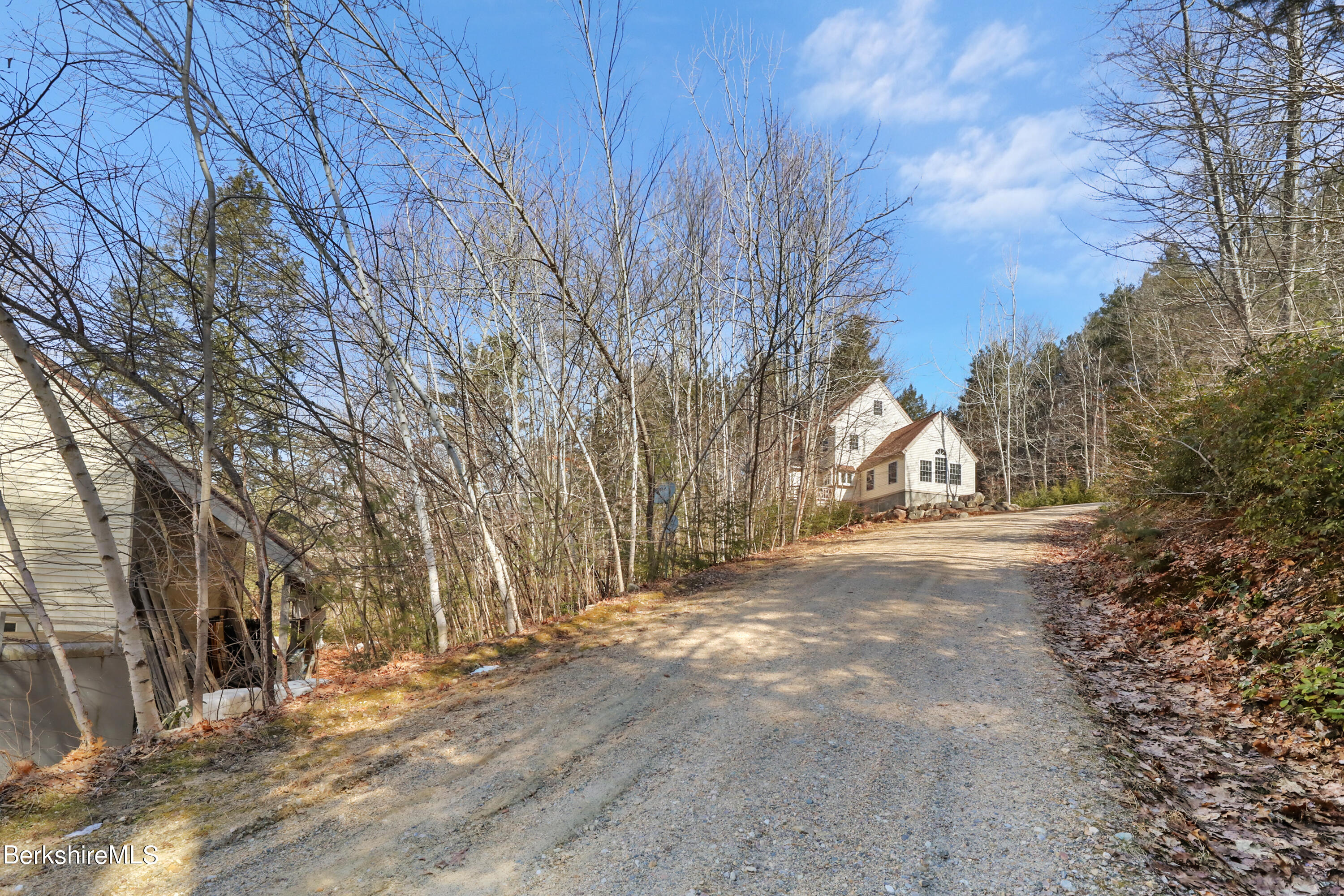 20 Ray Hubbard Road Otis, MA 01029 - Photo 4 of 59 a view of a yard with large trees