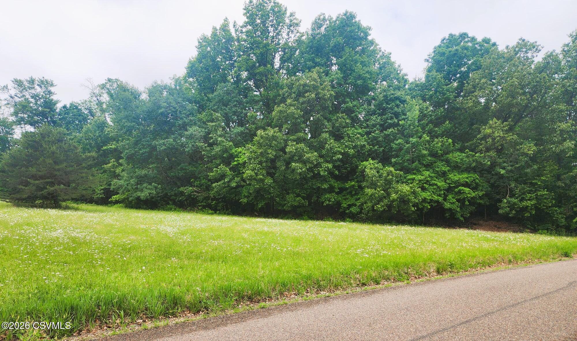 Lot #3 Shamrock Road Paxinos, PA 17860 - Photo 1 of 3 a view of a field with a trees in the background