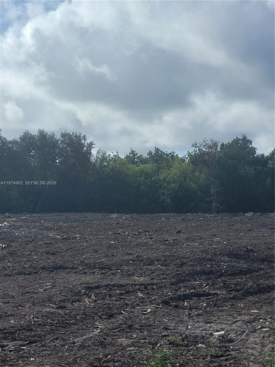 18150 Southwest 368th Street Homestead, FL 33034 - Photo 19 of 21 a view of dirt field with trees in background