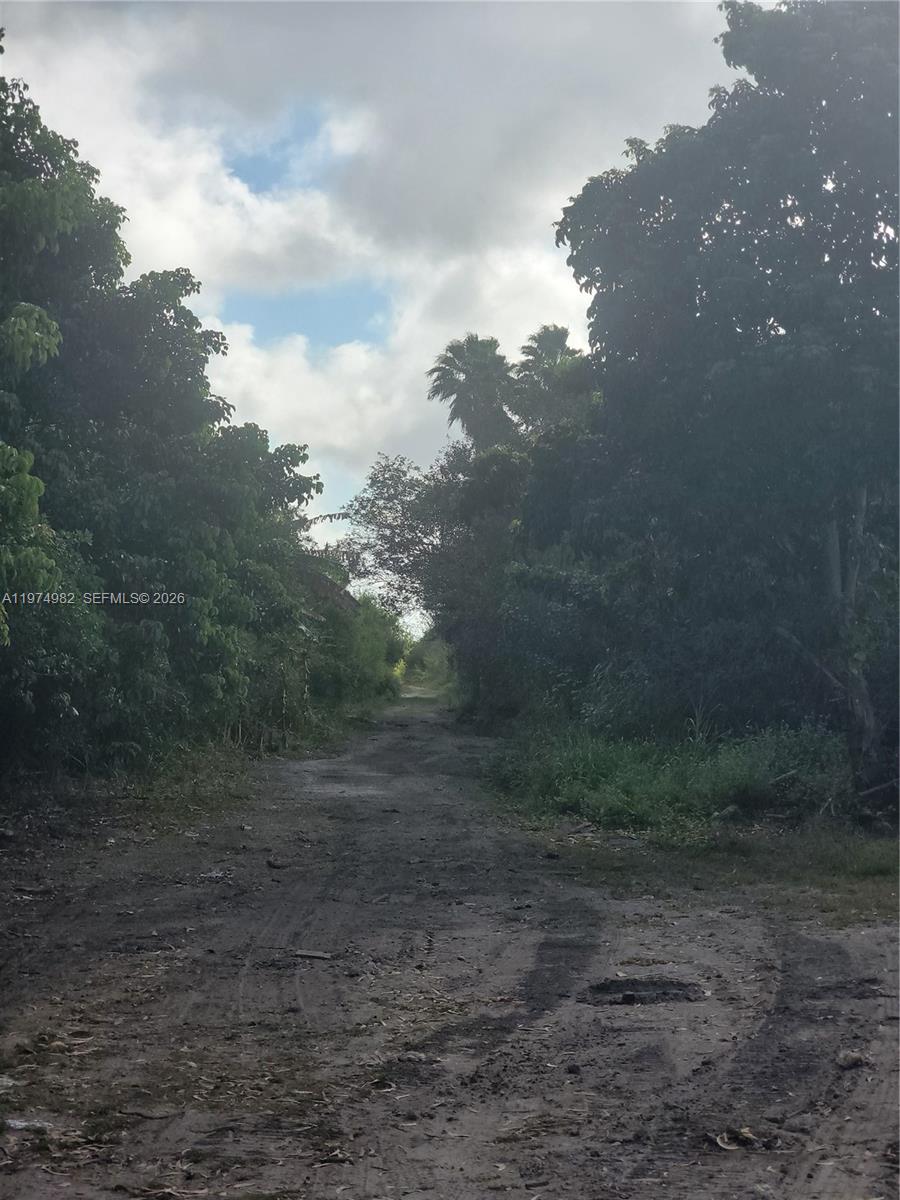 18150 Southwest 368th Street Homestead, FL 33034 - Photo 20 of 21 a view of a yard