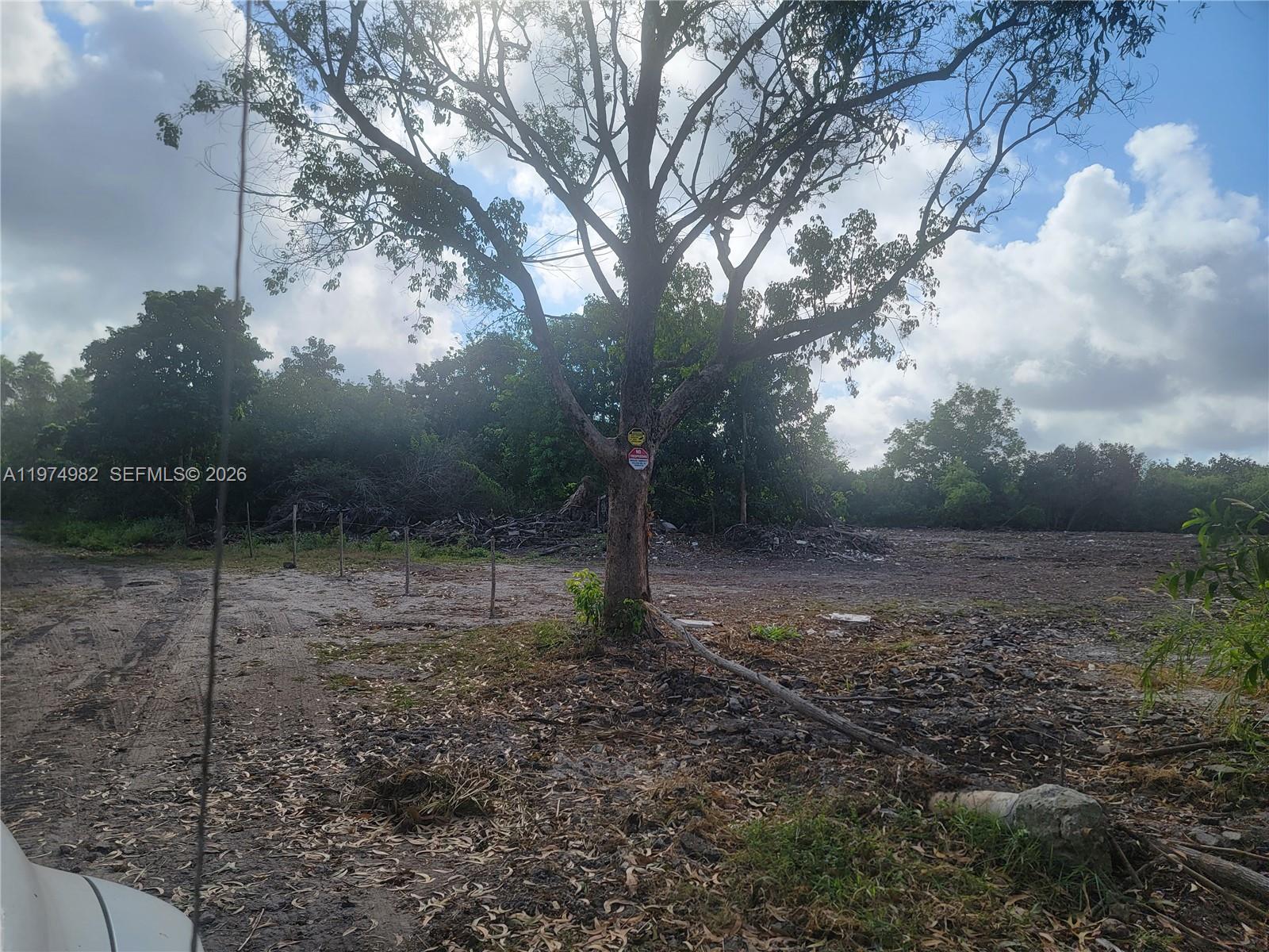 18150 Southwest 368th Street Homestead, FL 33034 - Photo 4 of 21 a view of a backyard