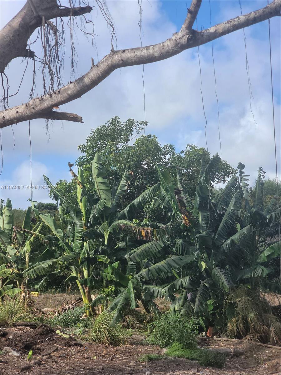 18150 Southwest 368th Street Homestead, FL 33034 - Photo 10 of 21 a view of a street