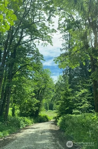 a view of a tree with a tree