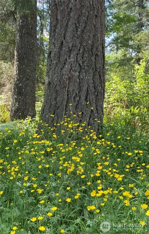 a backyard of a house with a yard and outdoor seating