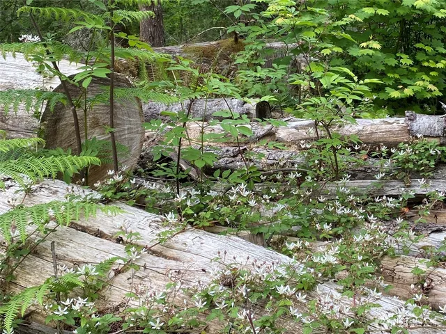 $985,000 | 36508 312th Avenue Southeast, Enumclaw, WA 98022