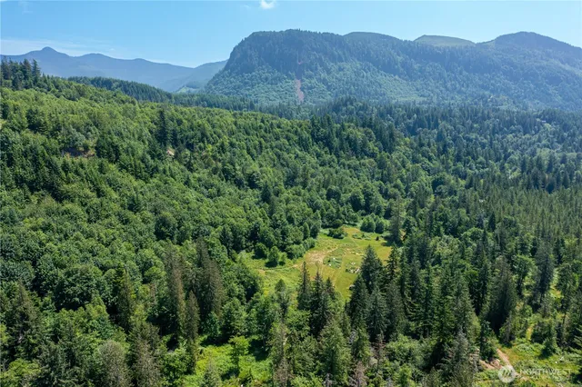 a view of a lush green hillside and a houses