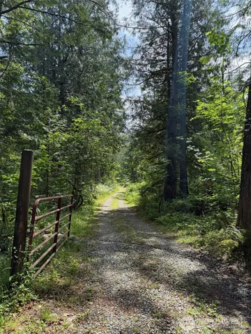 a view of outdoor space and yard