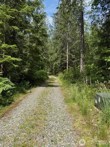 a view of backyard with green space