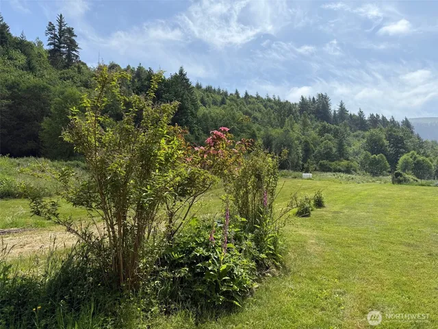 a view of a yard with an trees